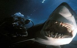 Le mal-aimé : Peur bleue de Renny Harlin, gros film de requin jouissif