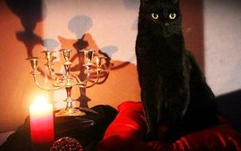 Sabrina, l'apprentie sorcière : le reboot estampillé Netflix se montre dans des premières images ensorcelantes