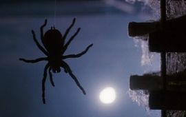 Arachnophobie : le remake produit par James Wan a trouvé son réalisateur et scénariste