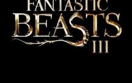 Les Animaux fantastiques : Les Secrets de Dumbledore : Vidéo, Bande-annonce publicitaire VO