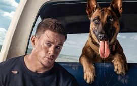 Dog : Channing Tatum part en road-trip avec un chien dans la première bande-annonce