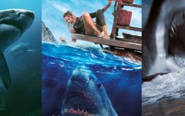 Les Meilleurs Films de Requins