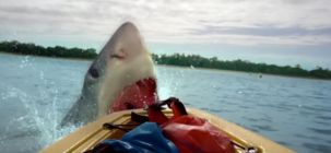 The Reef : Stalked - le requin harceleur qui rappelle Les Dents de la mer 4