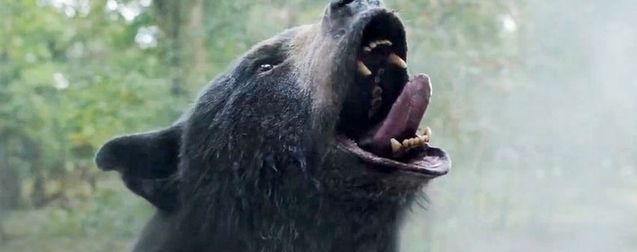 Crazy Bear : critique de Boucle d'Or sous acide