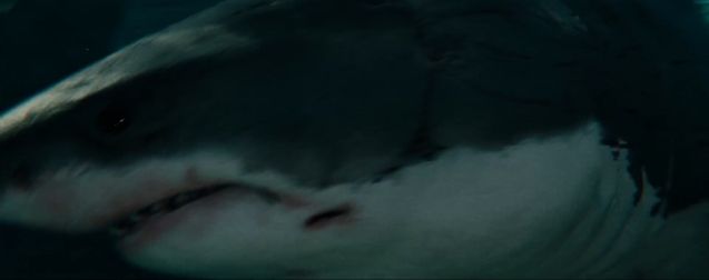 Le requin blanc d'Instinct de survie montre les dents avec une nouvelle bande-annonce tétanisante