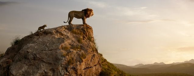 Le Roi Lion : les premières critiques sont là et le film fait presque l'unanimité