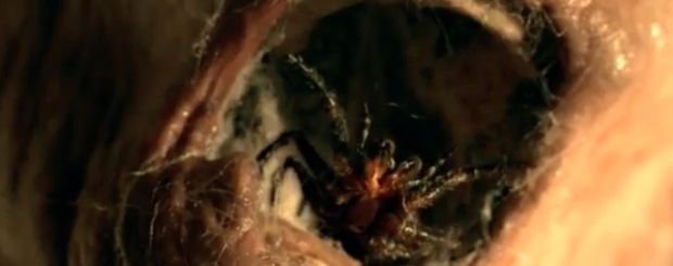 Nest 3D : araignées mortelles et squelettes se bousculent dans la bande-annonce