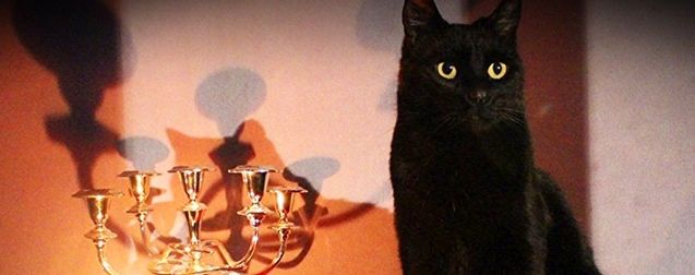 Sabrina, l'apprentie sorcière : le reboot estampillé Netflix se montre dans des premières images ensorcelantes