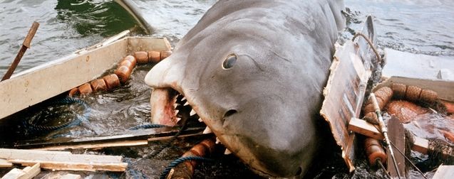 Les Dents de la mer : Steven Spielberg regrette l'impact de son film sur la chasse aux requins