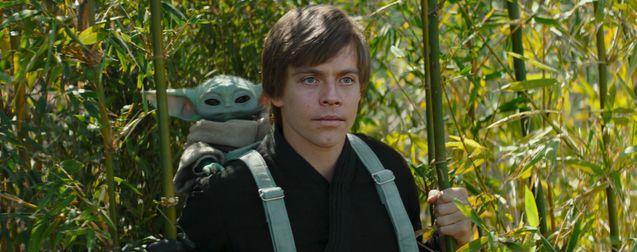 Star Wars : il faut trouver un nouvel acteur pour Luke Skywalker selon Mark Hamill