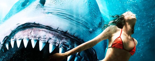 Merci Netflix : ce film de requin passé inaperçu cartonne dans le monde (mais c'est pas mérité)