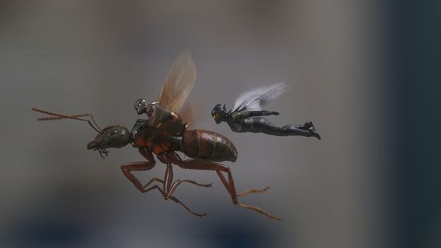 Ant-Man et la Guêpe : Photo