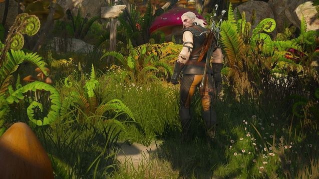 The Witcher 3 : Wild Hunt : photo Blood and Wine DLC
