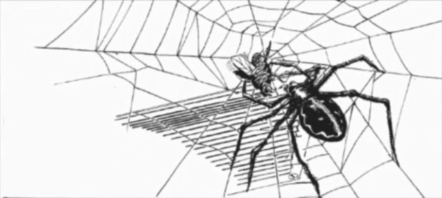 Spider-Man : photo storyboard James Cameron