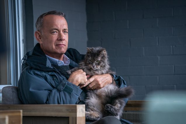 Le Pire voisin au monde : photo, Tom Hanks
