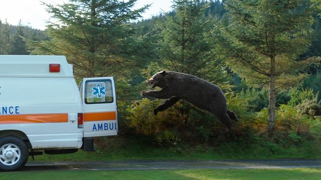 Crazy Bear : photo