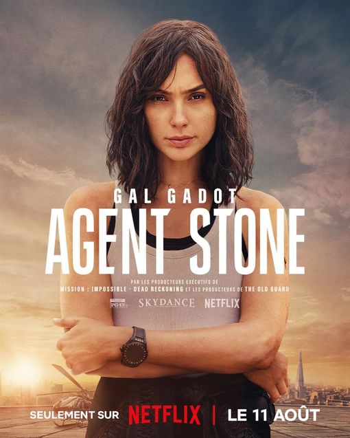 Agent stone : Affiche française