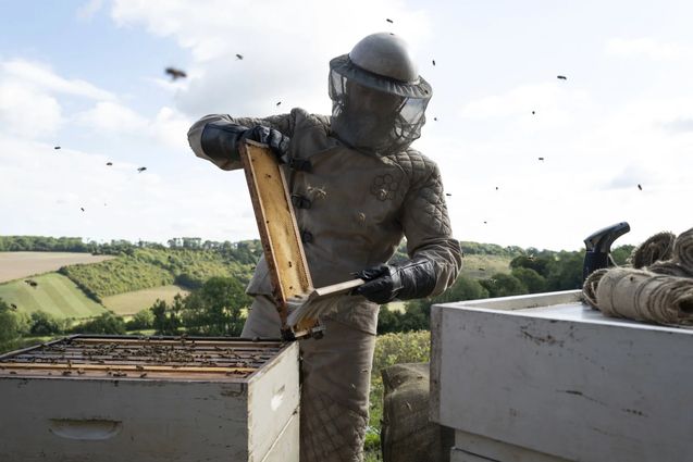 The Beekeeper : photo, Jason Statham