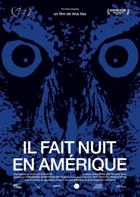 Il fait nuit en Amérique : Affiche française