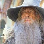 l'acteur de Gandalf explique pourquoi il a refusé de jouer Dumbledore