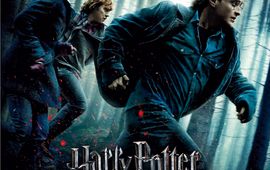 Harry Potter et les reliques de la mort (partie 1) : critique qui erre